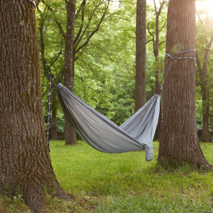 Lizardhead Hammocks