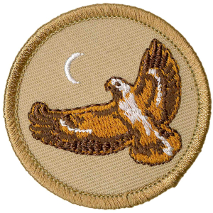 Hawk Patrol Emblem