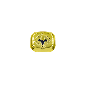 Cub Scout Webelos Rank Neckerchief Slide
